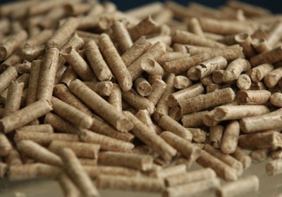 EXPORT TREND OF WOOD PELLETS – CUSTOMS AND METHOD OF PACKAGING